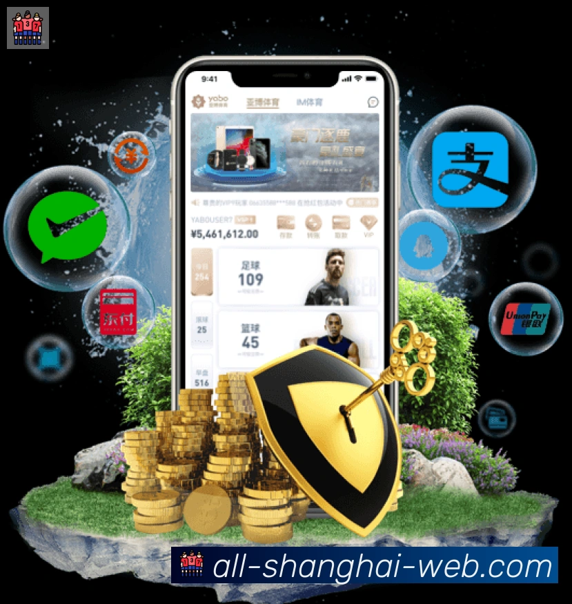 未来规划